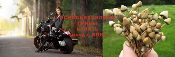 герыч Лагань