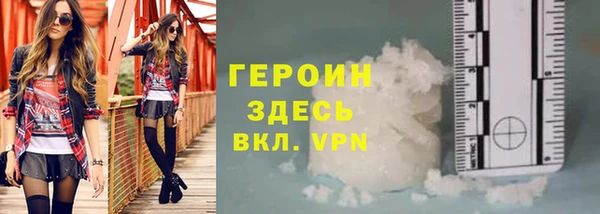 прущие грибы Лабытнанги