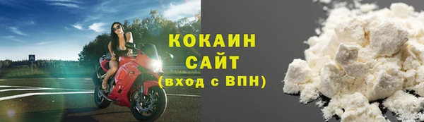 прущие грибы Лабытнанги