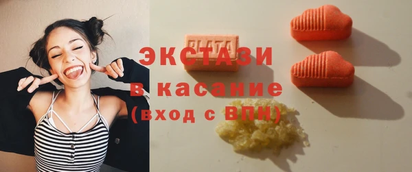 прущие грибы Лабытнанги