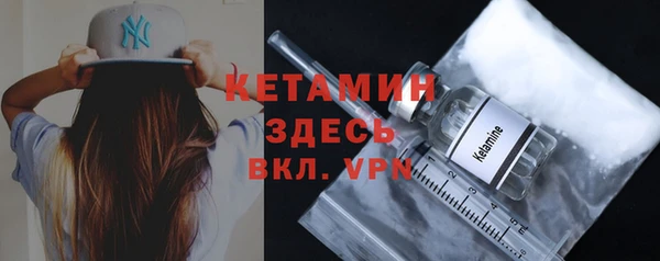прущие грибы Лабытнанги