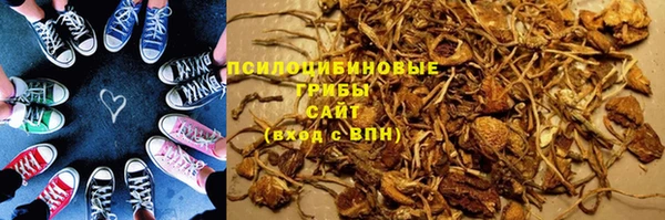 хмурый Ладушкин