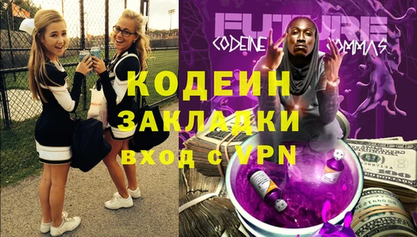 прущие грибы Лабытнанги