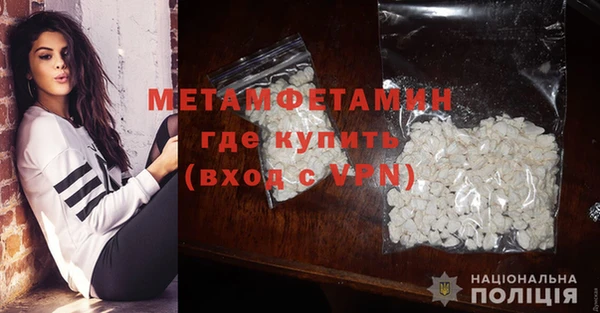 прущие грибы Лабытнанги