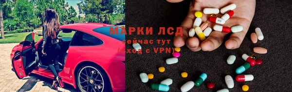 прущие грибы Лабытнанги