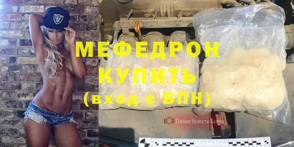 прущие грибы Лабытнанги