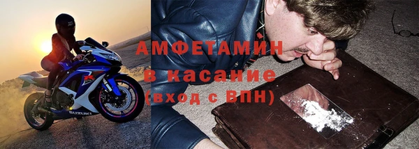 прущие грибы Лабытнанги