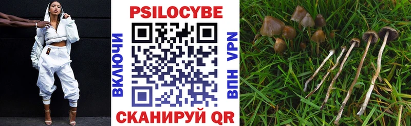 Псилоцибиновые грибы Magic Shrooms  Купить  Ленск 